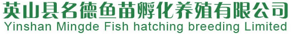 羅非魚魚苗-羅非魚成魚-魚苗