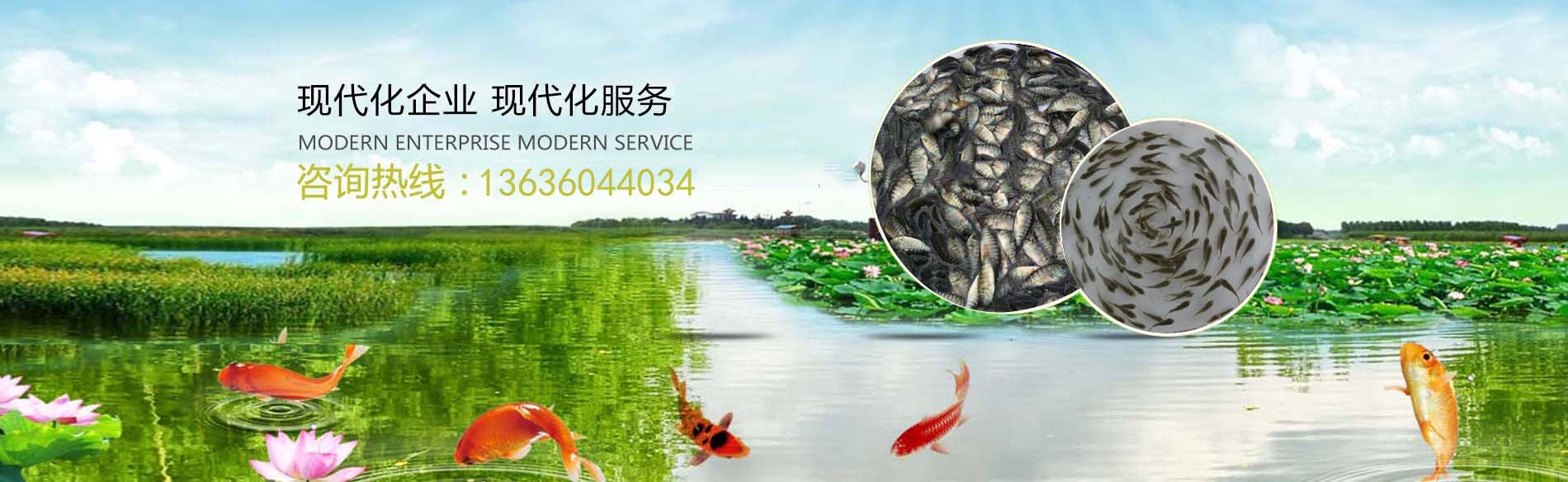 英山縣名德魚苗孵化養(yǎng)殖有限公司?